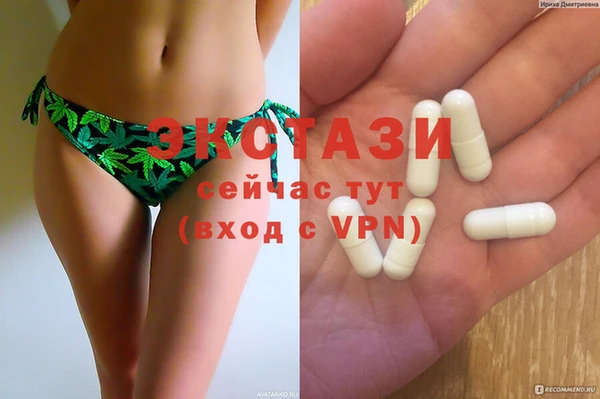 индика Арсеньев