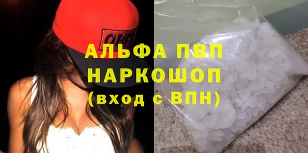 индика Арсеньев