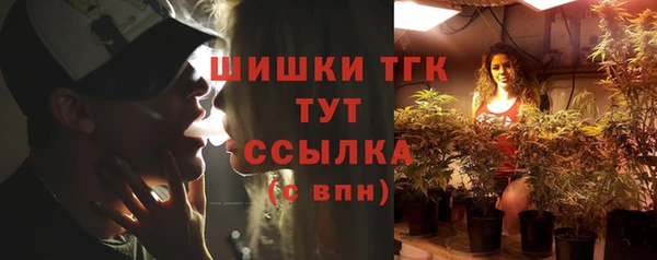 индика Арсеньев