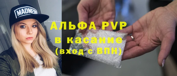 индика Арсеньев