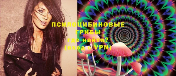 индика Арсеньев