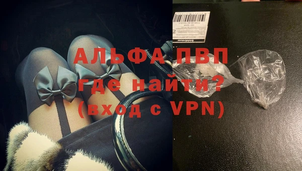индика Арсеньев