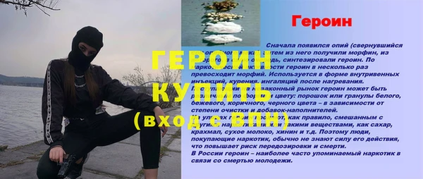 индика Арсеньев